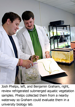 Students tighten their focus on NC aquatic vegetation