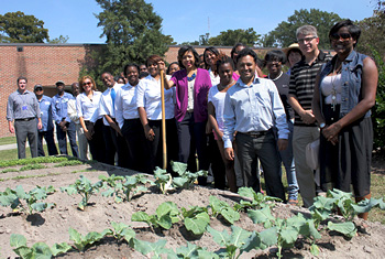Office of Sustainability Announces Community Garden