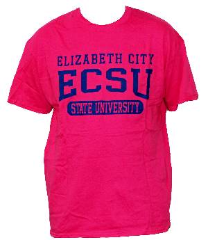 The Pink Out at ECSU Raises Awareness for Breast Cancer