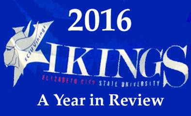 2016 A Viking Year in Review