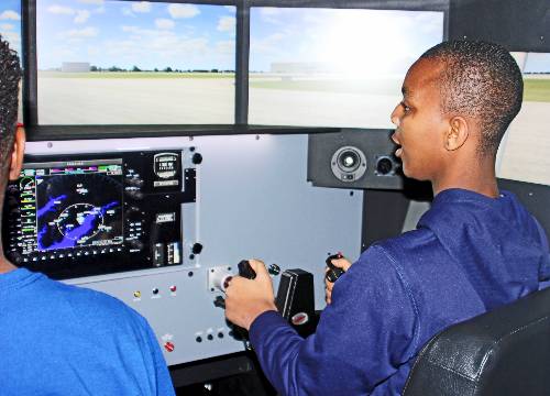 Flight simulator