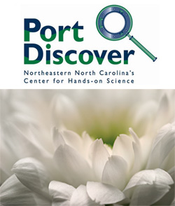 port-discover-offers-week